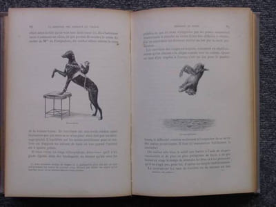 Le dressage des animaux et les combats de bêtes. Révélation des procédés employés par les professionnels pour dresser: le chien, le singe, le cheval, l'éléphant, les bêtes féroces, etc.