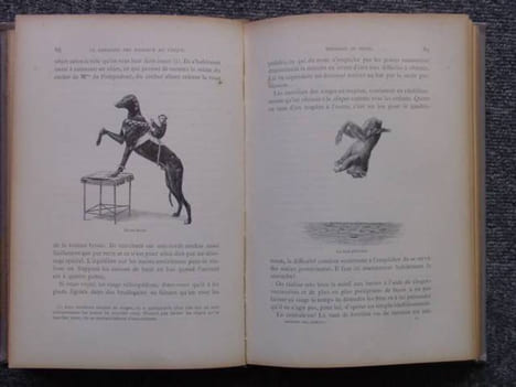 Le dressage des animaux et les combats de bêtes. Révélation des procédés employés par les professionnels pour dresser: le chien, le singe, le cheval, ...