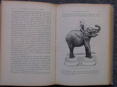 Le dressage des animaux et les combats de bêtes. Révélation des procédés employés par les professionnels pour dresser: le chien, le singe, le cheval, l'éléphant, les bêtes féroces, etc.