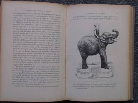 Le dressage des animaux et les combats de bêtes. Révélation des procédés employés par les professionnels pour dresser: le chien, le singe, le cheval, ...