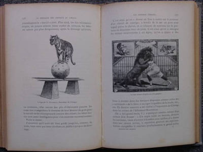 Le dressage des animaux et les combats de bêtes. Révélation des procédés employés par les professionnels pour dresser: le chien, le singe, le cheval, l'éléphant, les bêtes féroces, etc.