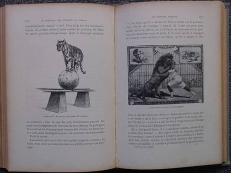 Le dressage des animaux et les combats de bêtes. Révélation des procédés employés par les professionnels pour dresser: le chien, le singe, le cheval, ...