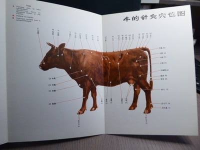 MANUEL D'ACUPUNCTURE VETERINAIRE. Pratique Moderne en République Populaire de Chine.