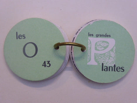 Les Grandes Plantes.. FERRAN Pierre