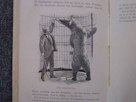 Le dressage des animaux et les combats de bêtes. Révélation des procédés employés par les professionnels pour dresser: le chien, le singe, le cheval, ...