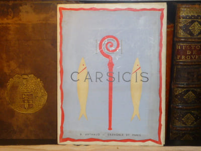 ICI CARSICIS.
