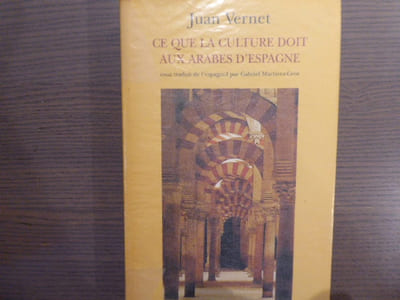 Ce que la culture doit aux arabes d'Espagne.