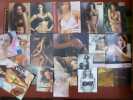 ANTINEA - BARBARA - PRINCESSE TAM-TAM etc... 17 catalogues de lingerie féminine.. ANTINEA - BARBARA - PRINCESSE TAM-TAM