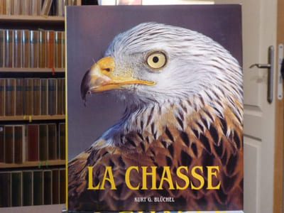LA CHASSE.