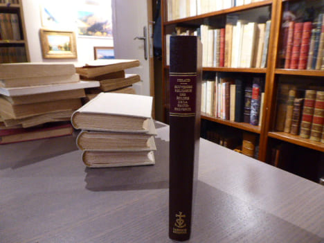SOUVENIRS RELIGIEUX des Eglises de la HAUTE-PROVENCE. Suite et complément de l'Histoire, Géographie et Statistique des Basses-Alpes.. FERAUD J.J.M.
