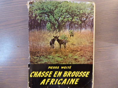 Chasses en brousse africaine.