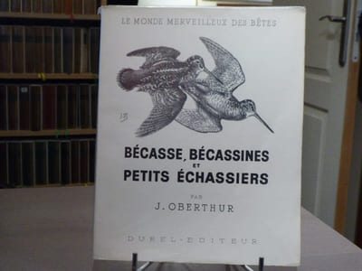 BECASSE, BECASSINES ET PETITS ECHASSIERS. Le monde merveilleux des bêtes.