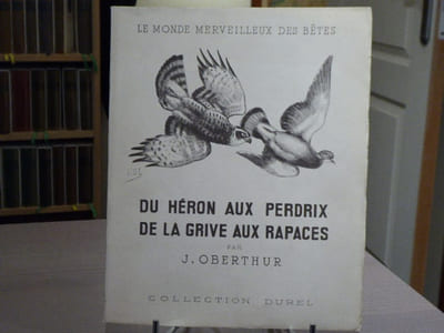 DU HERON AUX PERDRIX, DE LA GRIVE AUX RAPACES. Tome II. Passereaux, corvidés, rapaces. Le monde merveilleux des bêtes.