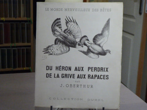 DU HERON AUX PERDRIX, DE LA GRIVE AUX RAPACES. Tome II. Passereaux, corvidés, rapaces. Le monde merveilleux des bêtes.. OBERTHUR Joseph