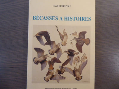 Bécasses à Histoires.