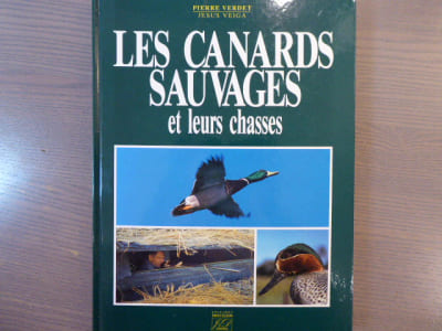 Les Canards sauvages et leurs chasses.
