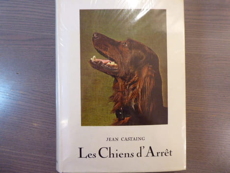 Les Chiens d'arrêt.. CASTAING Jean