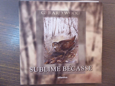 Sublime bécasse.
