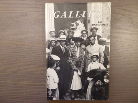 GALLITO, matador de toros. De l'enfant roi au dieu mortel.. BARTOLOTTI Joël