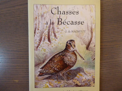 Chasses à la Bécasse.