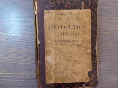 L'EVOLUTION ANIMIQUE. Essais de psychologie psychologique suivant le spiritisme.