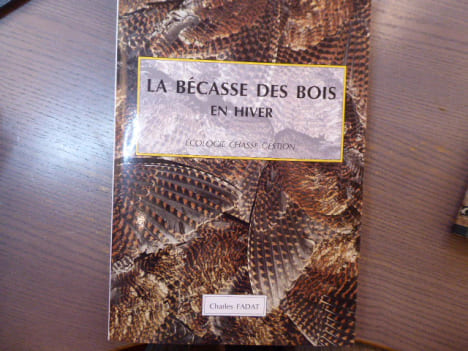 La Bécasse des bois en hiver. Ecologie chasse gestion.. LA BECASSE DES BOIS EN HIVER.