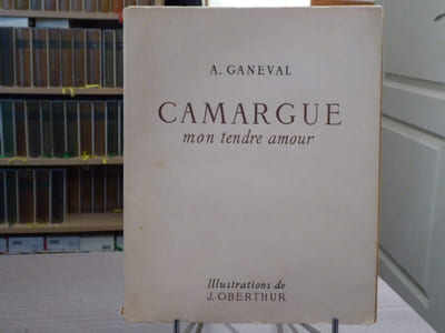 CAMARGUE. Mon tendre amour.