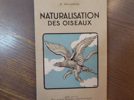 Naturalisation des oiseaux.. PHILIPON A.