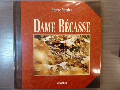 Dame Bécasse.