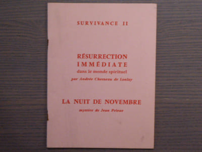 SURVIVANCE II. Résurrection immédiate dans le monde spirituel. - La nuit de novembre.