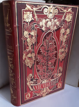 la vie vegetale histoire des plantes a l’usage des gens du monde. Henry emery