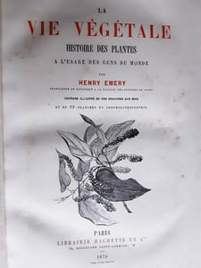 la vie vegetale histoire des plantes a l’usage des gens du monde