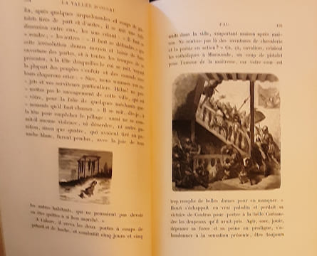 Voyage aux Pyrénées
Illustrée par Gustave DORÉ . Taine h