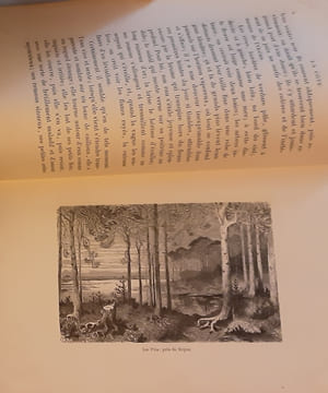 Voyage aux Pyrénées
Illustrée par Gustave DORÉ . Taine h