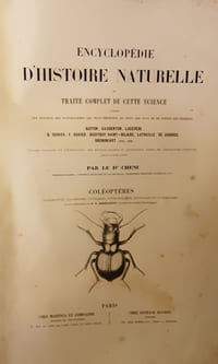 ENCYCLOPEDIE D'HISTOIRE NATURELLE OU TRAITE COMPLET DE CETTE SCIENCE - COLEOPTERES.DR CHENU