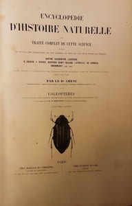 ENCYCLOPEDIE D'HISTOIRE NATURELLE OU TRAITE COMPLET DE CETTE SCIENCE - COLEOPTERES.DR CHENU