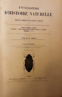 ENCYCLOPEDIE D'HISTOIRE NATURELLE OU TRAITE COMPLET DE CETTE SCIENCE - COLEOPTERES.DR CHENU