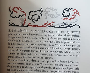 Dediche per Lionello Fiumi.,
PÉZARD ANDRÉ (presentazione di).
Edité par Sommaruga, Verona, 1974