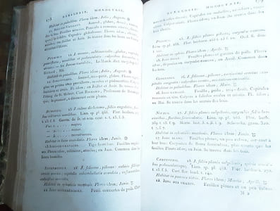 Flore des Environs de Paris ou Distribution Méthodique des Plantes qui y croissent naturellement.
Thuillier, J.-L