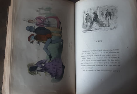 Les métamorphoses du jours
Granville . Granville
Préface de Charles BLanc