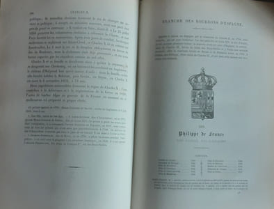 Les Princes militaires de la Maison de France, contenant les états de service et les biographies de près de 300 princes, l'histoire généalogique et héraldique des diverses branches de la dynastie capétienne depuis Robert-Le-Fort jusqu'à la Révolution française.
RENÉE Amédée
Edité par Paris : Amyot s.d.