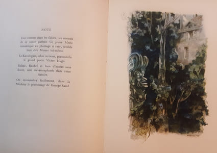 Histoire d’un merle blanc 