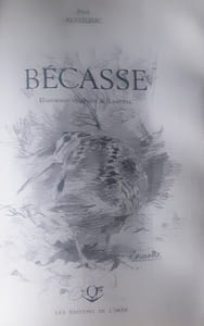 Becasse 