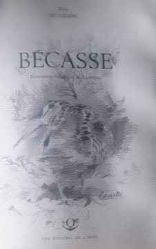 Becasse . Reveilhac