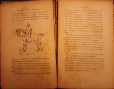 Manuel pratique d’equitation 