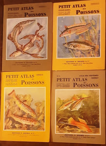 PETIT ATLAS DES POISSONS les 4 FASCICULES: I ET II: POISSONS MARINS , III: POISSONS DES EAUX DOUCES ESPÈCES FRANÇAISES et IV: POISSONS DES EAUX DOUCES ESPÈCES EXOTIQUES & D'ORNEMENT AQUARIOPHILIE.