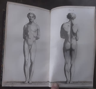 TRAITÉ DE L'AUSCULTATION MÉDIATE, et des maladies des poumons et du coeur. Quatrième édition, considérablement augmentée par M. Andral. Complet en 3 vol.