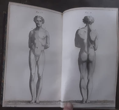 TRAITÉ DE L'AUSCULTATION MÉDIATE, et des maladies des poumons et du coeur. Quatrième édition, considérablement augmentée par M. Andral. Complet en 3 ...