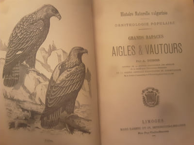 Histoire naturelle vulgarise Ornithologie populaire 
grands rapaces, aigles et vautours 