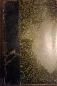 Les plantes des champs et des bois